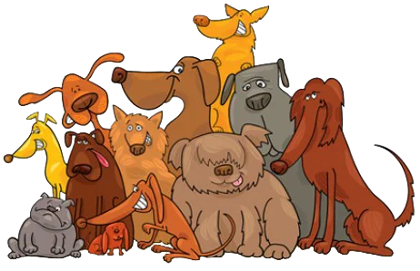 Logo Martina Grasser Hundetrainerin Amstetten